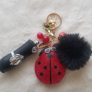 Ladybug Red and Black Key Holder